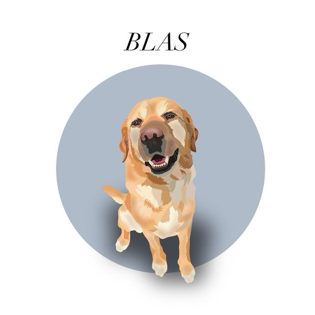 Ilustraciones de Mascotas