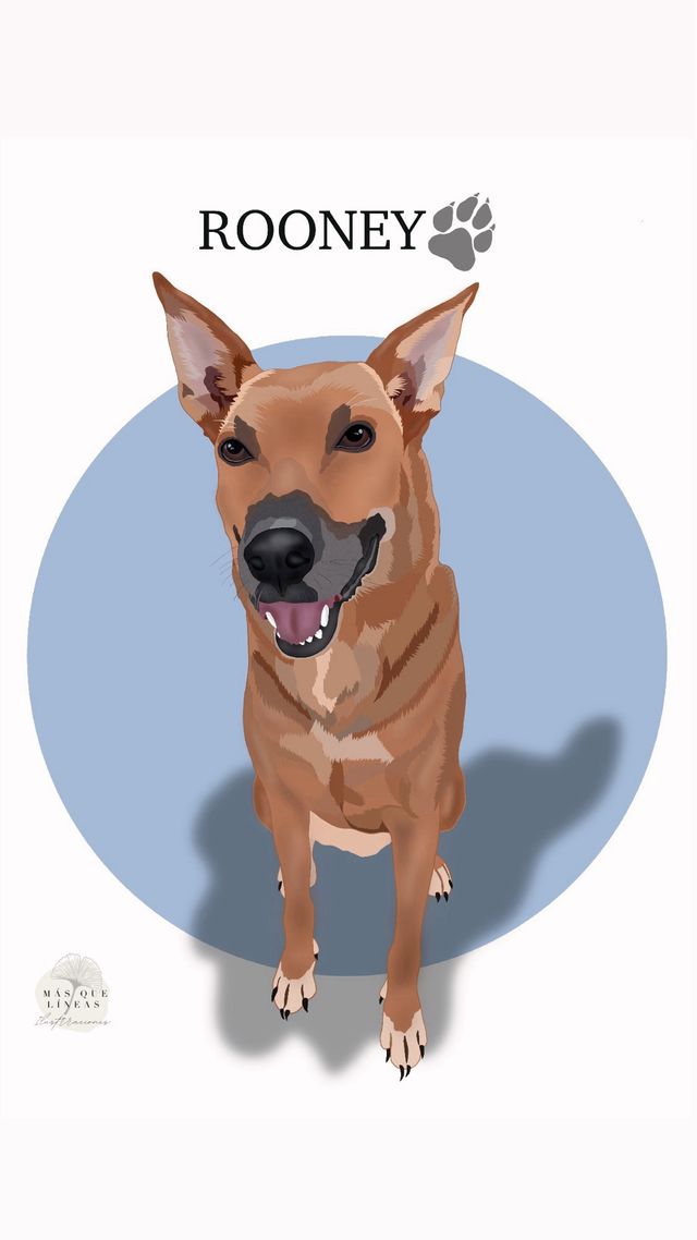 Ilustraciones de Mascotas