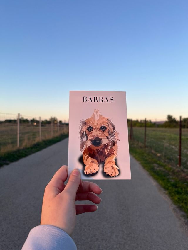 Ilustraciones de Mascotas