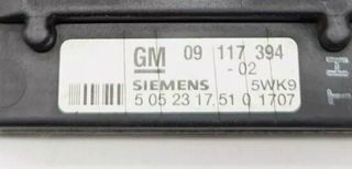 Modulo Opel 09117394 5WK91707