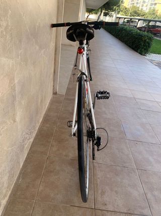 FIXIE-CLASICA