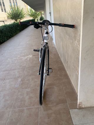 FIXIE-CLASICA