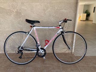 FIXIE-CLASICA