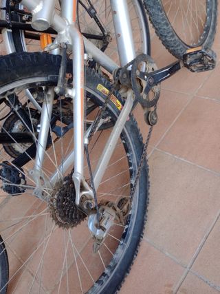 Bicicleta 