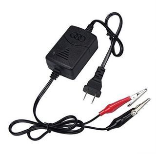 CARGADO DE BATERIA DE PLOMOINTELIGENTE. DE