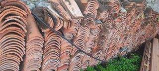 Tejas Arabes