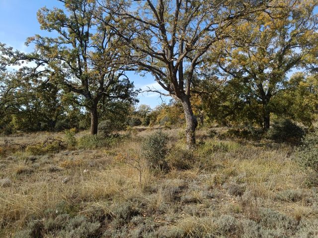 Finca rústica Pastrana