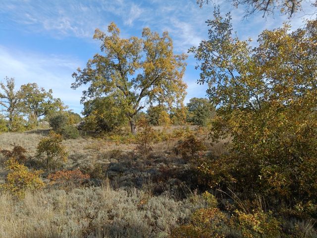 Finca rústica Pastrana