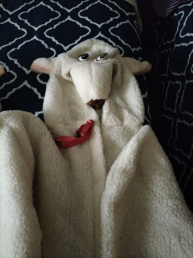 Disfraz de oveja