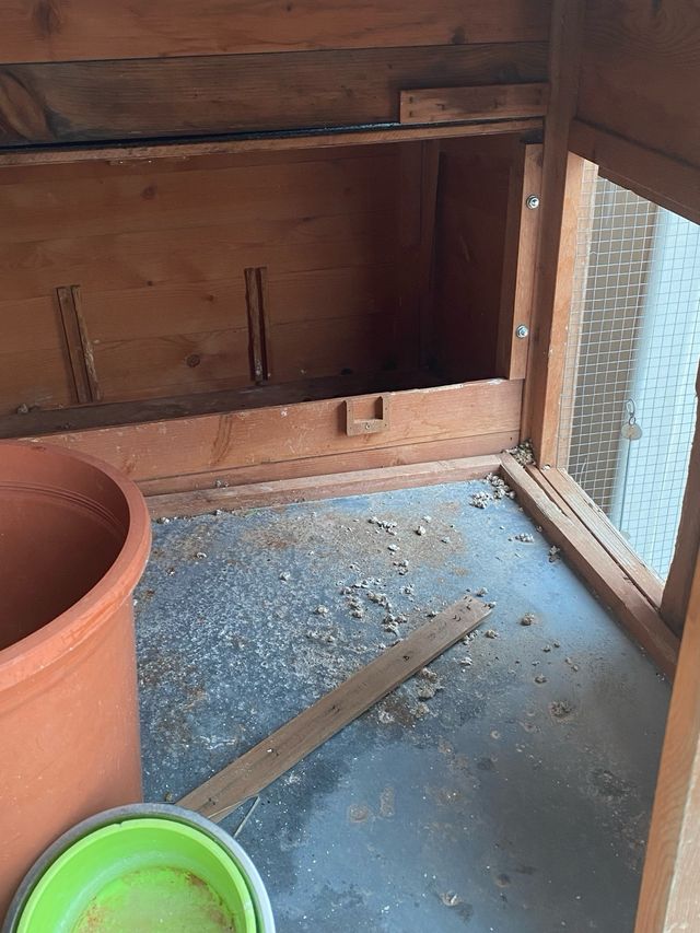 Jaula para conejo o gallinas