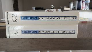 Dizionario enciclopedia universale 