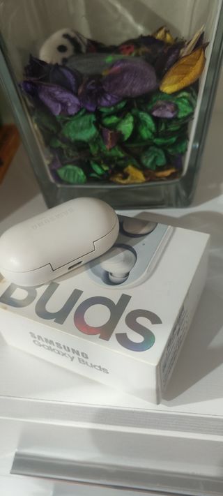 Samsung buds
