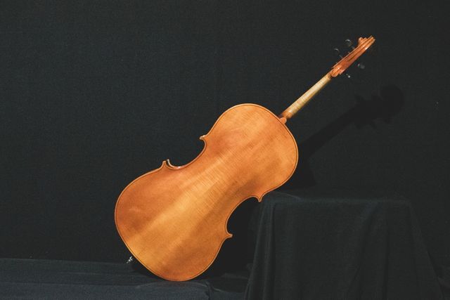 Cello Profesional Vintage Alemán