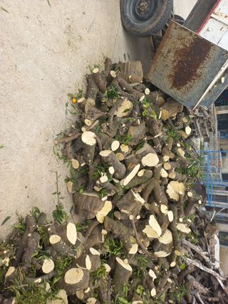 Oferta ....Leña naranjo perfecto para gastar