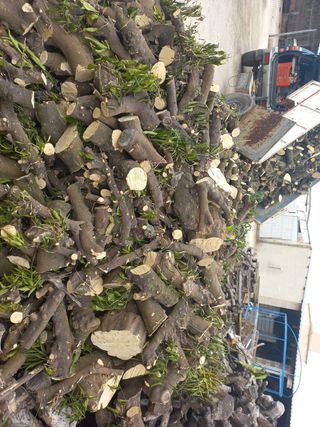 Oferta ....Leña naranjo perfecto para gastar