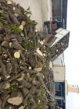 Oferta ....Leña naranjo perfecto para gastar