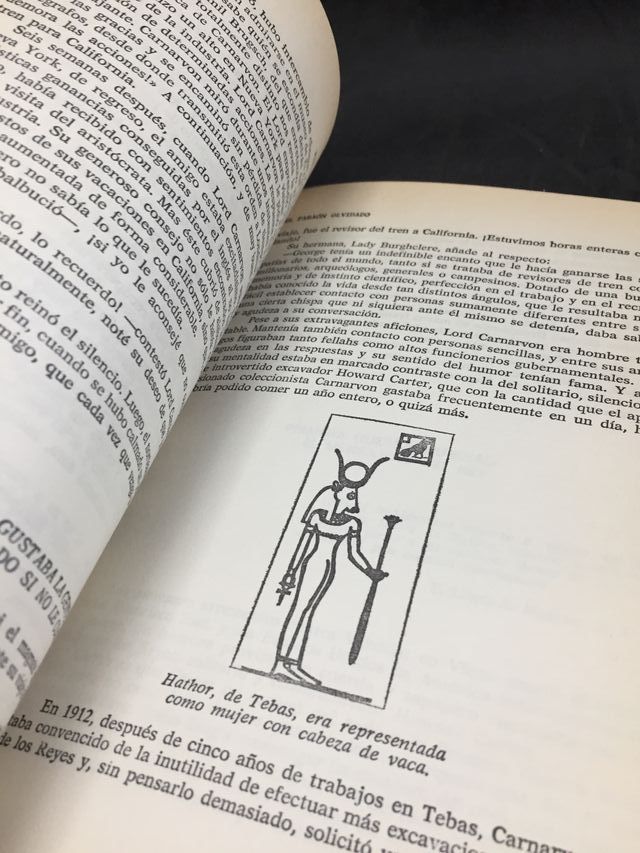 El Faraón olvidado, Philipp Vandenberg, 1980