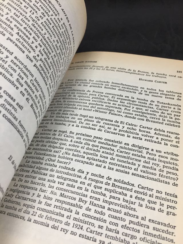 El Faraón olvidado, Philipp Vandenberg, 1980