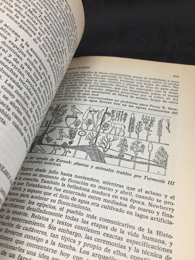 El Faraón olvidado, Philipp Vandenberg, 1980