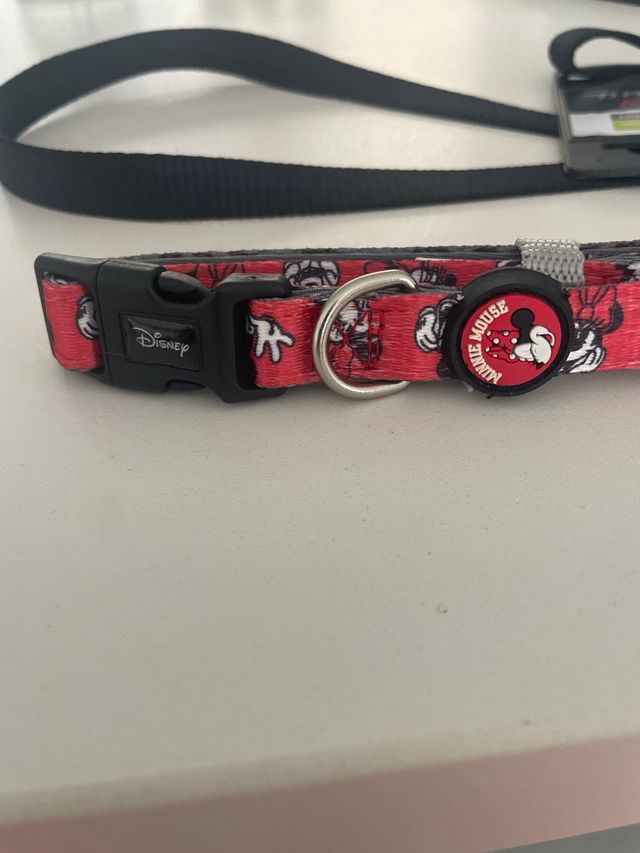 Collar + correa perro