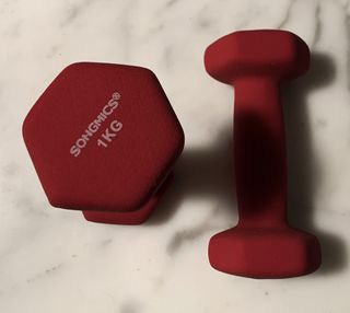 Set di 2 Manubri 2 x 1 kg Songmics