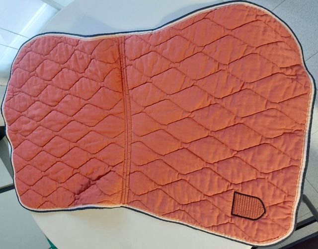 Mantilla Equitación Caballo, pony