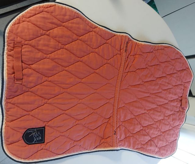 Mantilla Equitación Caballo, pony