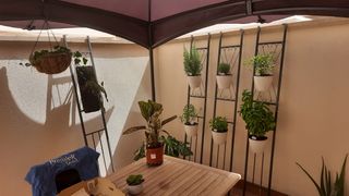 Carpa gris para Terraza