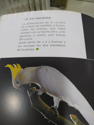 250 curiosidades de animales