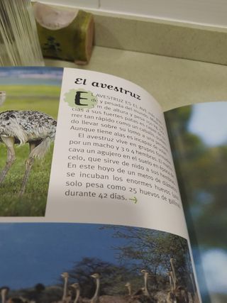 250 curiosidades de animales