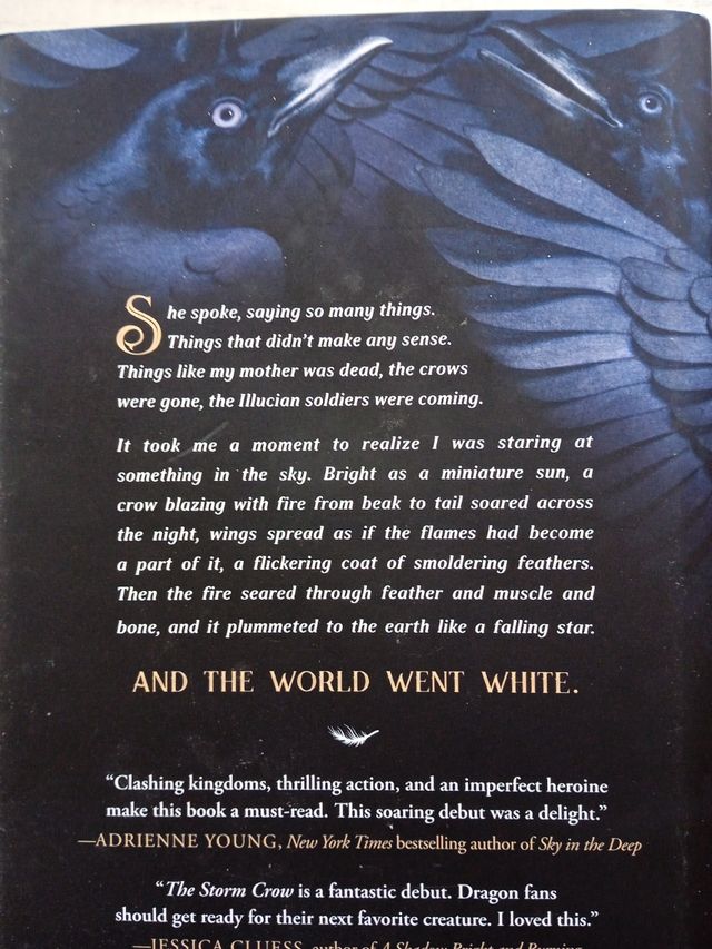 "The Storm Crow" Kalyn Josephson