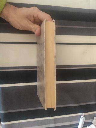 Ovidio. El arte de amar y amores.