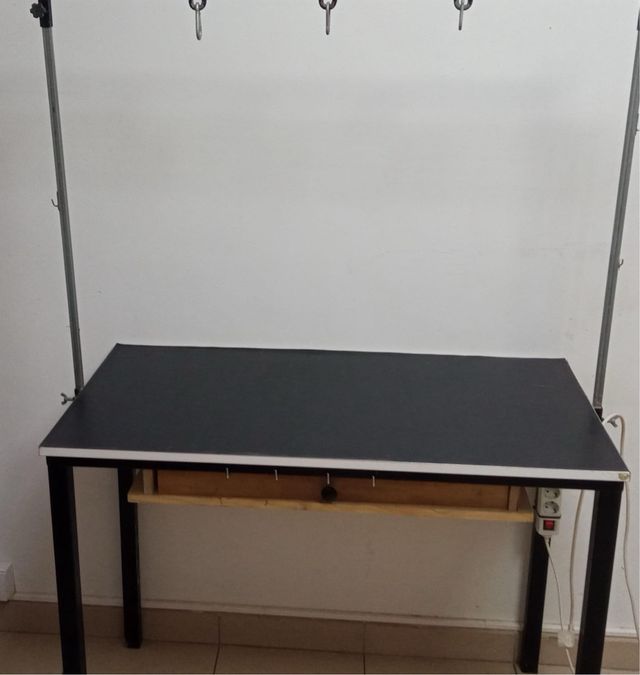 Mesa peluqueria canina