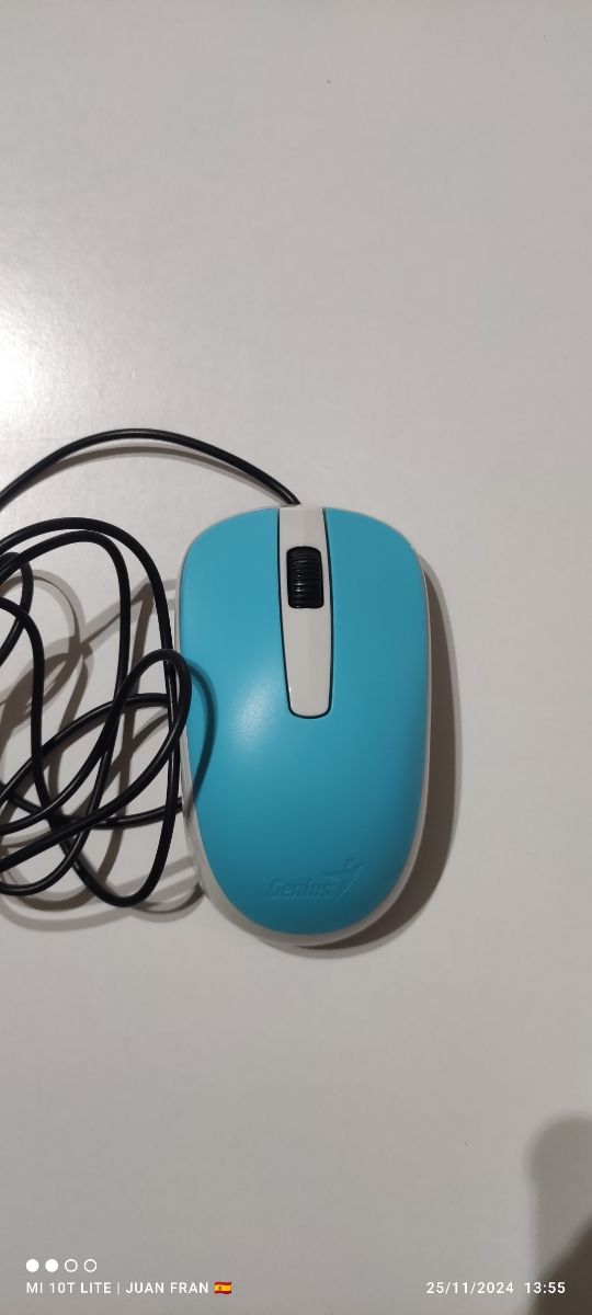 Ratón ordenador