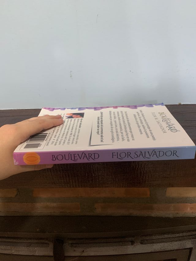 Boulevard (Spanish Edition)