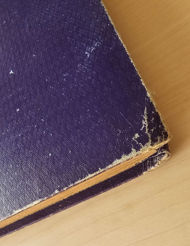  PULGARCITO revista para los jóvenes 