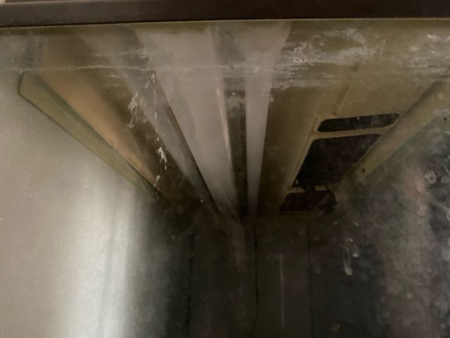 Pecera con filtro y luz