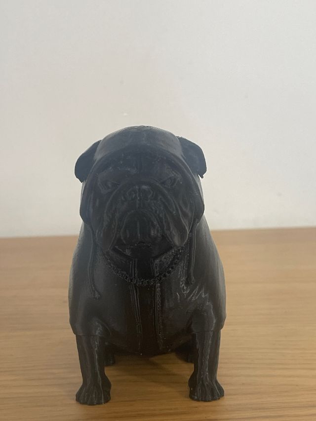 Bulldog