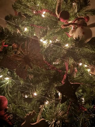 Árbol de navidad 