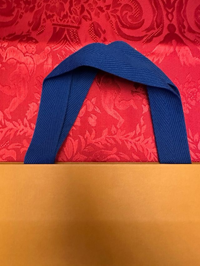 Borsa - busta grande originale Louis Vuitton