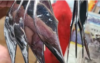 Wyvern Radamantis Myth Cloth Bandai