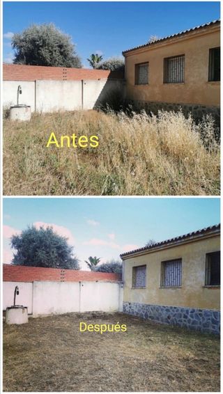 Limpieza de la parcelas poda de árboles 
