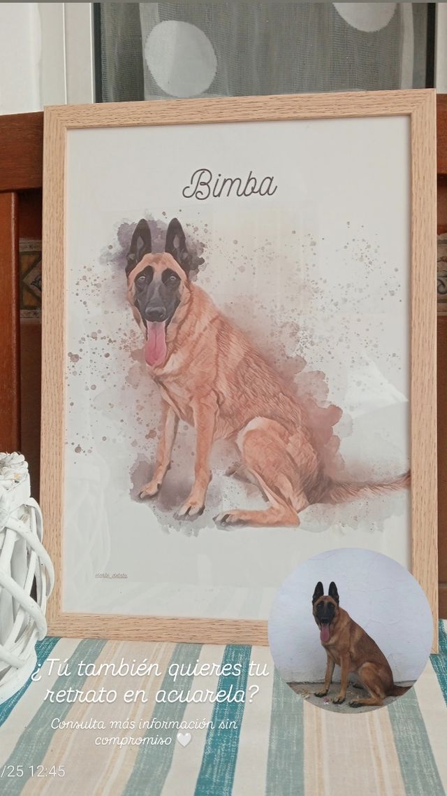 Retratos acuarela de mascotas