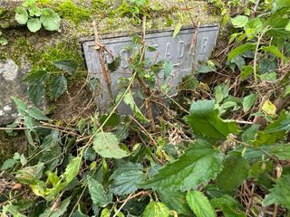 Olivar con suelo URBANO