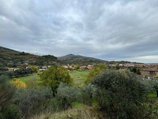 Olivar con suelo URBANO