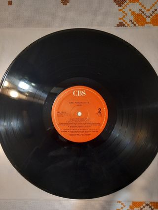 Vinile Oro Puro estate
