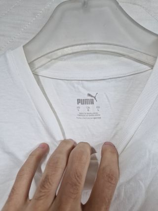 t-shirt puma