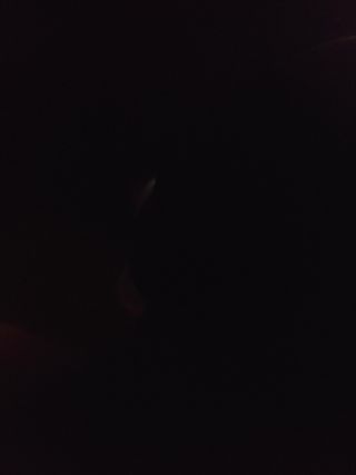 Colección de libros de Gloria Fuertes.