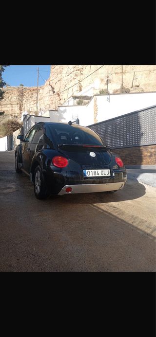 Beetle Beetle 2004