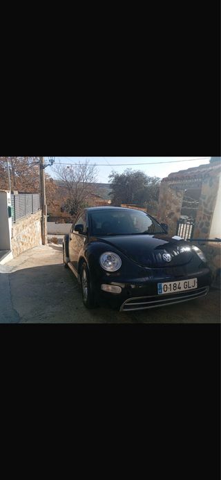 Beetle Beetle 2004